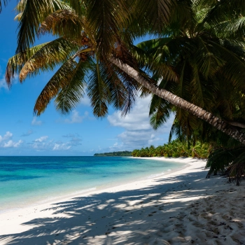 Desroches Island med hvide strande og luksuriøse resortområder.